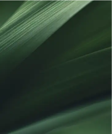 Nava Medical Aesthetics